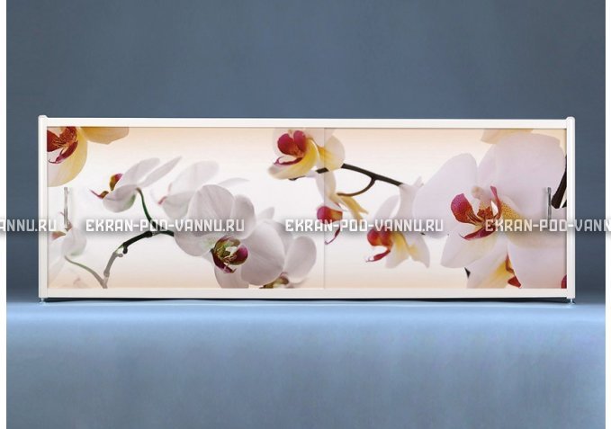 Раздвижной ФОТО экран - Orchid – купить по цене 8500 руб. в интернет-магазине в городе Курск картинка 1