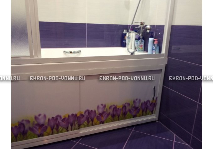 Экран на роликах EUROPLEX  Ирисы – купить по цене 12400 руб. в интернет-магазине в городе Курск картинка 3