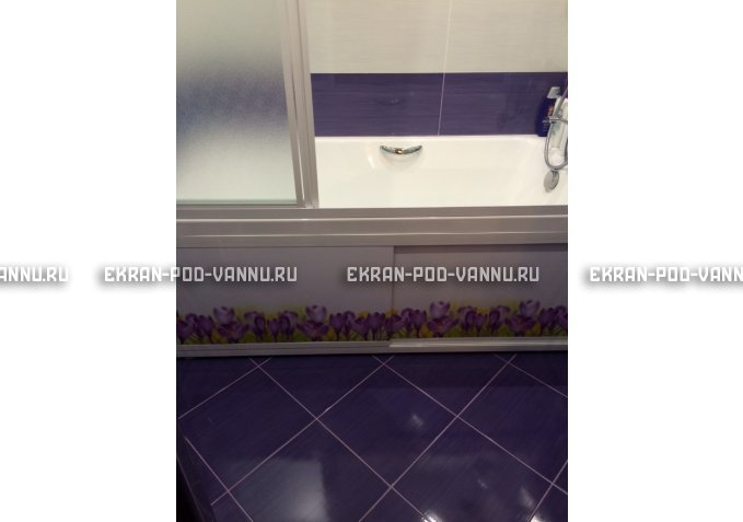 Экран на роликах EUROPLEX  Ирисы – купить по цене 12400 руб. в интернет-магазине в городе Курск картинка 4