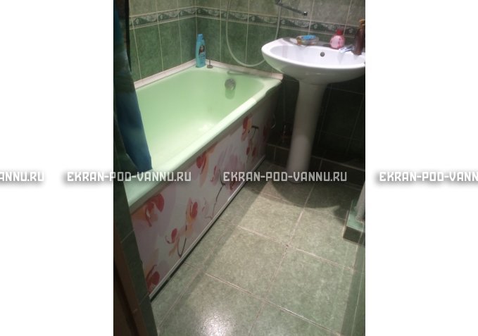 Раздвижной ФОТО экран - Orchid – купить по цене 8500 руб. в интернет-магазине в городе Курск картинка 6