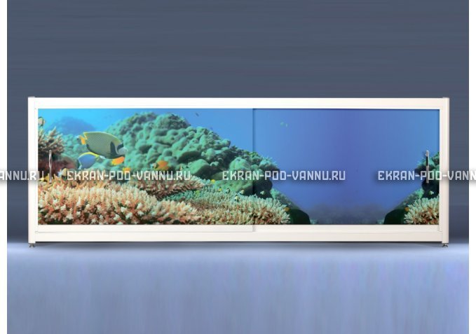 Экран на роликах EUROPLEX Коралловые рифы – купить по цене 12400 руб. в интернет-магазине в городе Курск картинка 1